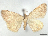  ( - CCDB-45165-H11)  @11 [ ] CreativeCommons - Attribution (2024) CBG Photography Group Centre for Biodiversity Genomics