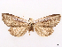  ( - CCDB-45171-E02)  @11 [ ] CreativeCommons - Attribution (2024) CBG Photography Group Centre for Biodiversity Genomics