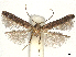  ( - CCDB-45171-F08)  @11 [ ] CreativeCommons - Attribution (2024) CBG Photography Group Centre for Biodiversity Genomics