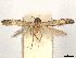  ( - CCDB-45171-F10)  @11 [ ] CreativeCommons - Attribution (2024) CBG Photography Group Centre for Biodiversity Genomics