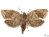  ( - CCDB-45172-A02)  @11 [ ] CreativeCommons - Attribution (2024) CBG Photography Group Centre for Biodiversity Genomics