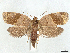  ( - CCDB-45172-A03)  @11 [ ] CreativeCommons - Attribution (2024) CBG Photography Group Centre for Biodiversity Genomics