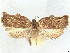  ( - CCDB-45172-A04)  @11 [ ] CreativeCommons - Attribution (2024) CBG Photography Group Centre for Biodiversity Genomics