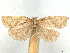  ( - CCDB-45172-B01)  @11 [ ] CreativeCommons - Attribution (2024) CBG Photography Group Centre for Biodiversity Genomics