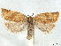 ( - CCDB-45172-B11)  @11 [ ] CreativeCommons - Attribution (2024) CBG Photography Group Centre for Biodiversity Genomics