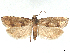  ( - CCDB-45172-E02)  @11 [ ] CreativeCommons - Attribution (2024) CBG Photography Group Centre for Biodiversity Genomics