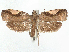  ( - CCDB-45172-G01)  @11 [ ] CreativeCommons - Attribution (2024) CBG Photography Group Centre for Biodiversity Genomics