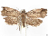 ( - CCDB-45172-G02)  @11 [ ] CreativeCommons - Attribution (2024) CBG Photography Group Centre for Biodiversity Genomics