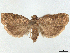  ( - CCDB-45172-H04)  @11 [ ] CreativeCommons - Attribution (2024) CBG Photography Group Centre for Biodiversity Genomics