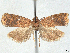  ( - CCDB-45172-H08)  @11 [ ] CreativeCommons - Attribution (2024) CBG Photography Group Centre for Biodiversity Genomics