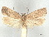  ( - CCDB-45173-B01)  @11 [ ] CreativeCommons - Attribution Share - Alike (2024) CBG Photography Group Centre for Biodiversity Genomics