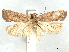  ( - CCDB-45173-B02)  @11 [ ] CreativeCommons - Attribution Share - Alike (2024) CBG Photography Group Centre for Biodiversity Genomics