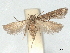  ( - CCDB-45173-B03)  @11 [ ] CreativeCommons - Attribution Share - Alike (2024) CBG Photography Group Centre for Biodiversity Genomics