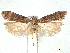  ( - CCDB-45173-B10)  @11 [ ] CreativeCommons - Attribution Share - Alike (2024) CBG Photography Group Centre for Biodiversity Genomics