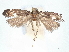  ( - CCDB-45173-C03)  @11 [ ] CreativeCommons - Attribution Share - Alike (2024) CBG Photography Group Centre for Biodiversity Genomics