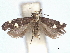  ( - CCDB-45173-C06)  @11 [ ] CreativeCommons - Attribution Share - Alike (2024) CBG Photography Group Centre for Biodiversity Genomics