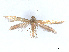  ( - CCDB-45173-G02)  @11 [ ] CreativeCommons - Attribution Share - Alike (2024) CBG Photography Group Centre for Biodiversity Genomics