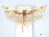  ( - CCDB-45173-G05)  @11 [ ] CreativeCommons - Attribution Share - Alike (2024) CBG Photography Group Centre for Biodiversity Genomics