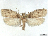  ( - CCDB-45174-E10)  @11 [ ] CreativeCommons - Attribution (2024) CBG Photography Group Centre for Biodiversity Genomics