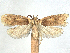  ( - CCDB-45174-E11)  @11 [ ] CreativeCommons - Attribution (2024) CBG Photography Group Centre for Biodiversity Genomics