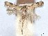  ( - CCDB-45174-F11)  @11 [ ] CreativeCommons - Attribution (2024) CBG Photography Group Centre for Biodiversity Genomics