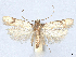  ( - CCDB-45174-G02)  @11 [ ] CreativeCommons - Attribution (2024) CBG Photography Group Centre for Biodiversity Genomics