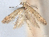  ( - CCDB-45174-G05)  @11 [ ] CreativeCommons - Attribution (2024) CBG Photography Group Centre for Biodiversity Genomics