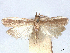  ( - CCDB-45175-A12)  @11 [ ] CreativeCommons - Attribution (2024) CBG Photography Group Centre for Biodiversity Genomics