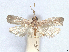  ( - CCDB-45175-B01)  @11 [ ] CreativeCommons - Attribution (2024) CBG Photography Group Centre for Biodiversity Genomics