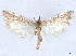  ( - CCDB-45175-B02)  @11 [ ] CreativeCommons - Attribution (2024) CBG Photography Group Centre for Biodiversity Genomics