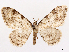  ( - CCDB-45175-E03)  @11 [ ] CreativeCommons - Attribution (2024) CBG Photography Group Centre for Biodiversity Genomics