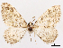  ( - CCDB-45175-E04)  @11 [ ] CreativeCommons - Attribution (2024) CBG Photography Group Centre for Biodiversity Genomics
