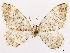  ( - CCDB-45175-E05)  @11 [ ] CreativeCommons - Attribution (2024) CBG Photography Group Centre for Biodiversity Genomics