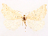  ( - CCDB-45175-F08)  @11 [ ] CreativeCommons - Attribution (2024) CBG Photography Group Centre for Biodiversity Genomics