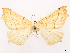  ( - CCDB-45175-G02)  @11 [ ] CreativeCommons - Attribution (2024) CBG Photography Group Centre for Biodiversity Genomics
