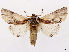  ( - CCDB-45175-G04)  @11 [ ] CreativeCommons - Attribution (2024) CBG Photography Group Centre for Biodiversity Genomics