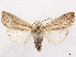  ( - CCDB-45175-G07)  @11 [ ] CreativeCommons - Attribution (2024) CBG Photography Group Centre for Biodiversity Genomics