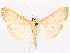  ( - CCDB-45179-C02)  @11 [ ] CreativeCommons - Attribution (2024) CBG Photography Group Centre for Biodiversity Genomics