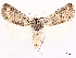  ( - CCDB-45179-E02)  @11 [ ] CreativeCommons - Attribution (2024) CBG Photography Group Centre for Biodiversity Genomics