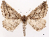  ( - CCDB-45179-G02)  @11 [ ] CreativeCommons - Attribution (2024) CBG Photography Group Centre for Biodiversity Genomics