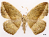  ( - CCDB-45179-H11)  @11 [ ] CreativeCommons - Attribution (2024) CBG Photography Group Centre for Biodiversity Genomics