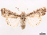  ( - CCDB-45180-C05)  @11 [ ] CreativeCommons - Attribution (2024) CBG Photography Group Centre for Biodiversity Genomics