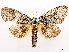  ( - CCDB-45180-D09)  @11 [ ] CreativeCommons - Attribution (2024) CBG Photography Group Centre for Biodiversity Genomics