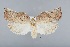  (Tina audaculana - CCDB-39046-E04)  @11 [ ] Unspecified (default): All Rights Reserved  Unspecified Unspecified