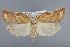  ( - CCDB-39046-F10)  @11 [ ] Unspecified (default): All Rights Reserved  Unspecified Unspecified