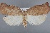  ( - CCDB-39046-G01)  @11 [ ] Unspecified (default): All Rights Reserved  Unspecified Unspecified