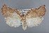  ( - CCDB-39046-G04)  @11 [ ] Unspecified (default): All Rights Reserved  Unspecified Unspecified