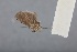  ( - CCDB-39046-G09)  @11 [ ] Unspecified (default): All Rights Reserved  Unspecified Unspecified