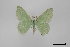  ( - USNM ENT 01299073)  @11 [ ] Unspecified (default): All Rights Reserved  Unspecified Unspecified