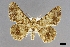  ( - USNM ENT 01921149)  @11 [ ] (by-nc-sa)  Unspecified Unspecified
